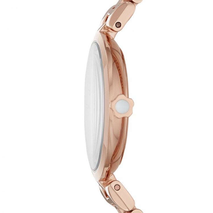 Ceas Dama, Emporio Armani, Arianna AR11196