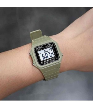 Ceas Barbati, Casio, Collection W-21 W-217H-5AVDF