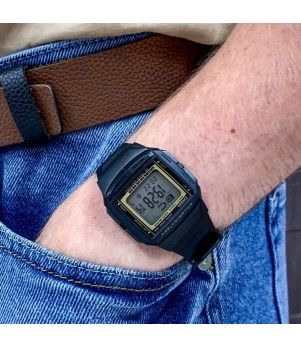 Ceas Barbati, Casio, Vintage Edgy Databank DB-36-9AVSDF