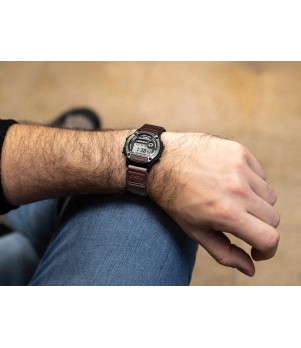 Ceas Casio, Collection W-22 W-220HF-3AVEF