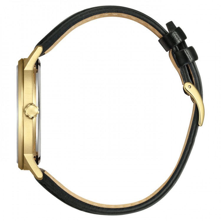 Ceas Barbati, Citizen, Eco-Drive BM6756-01A