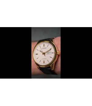 Ceas Barbati, Citizen, Mechanical Day-Date NY4059-09AE