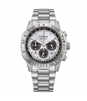 Ceas Barbati, Citizen, Promaster CA4660-61A