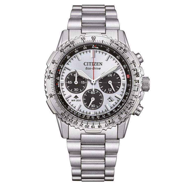 Ceas Barbati, Citizen, Promaster CA4660-61A