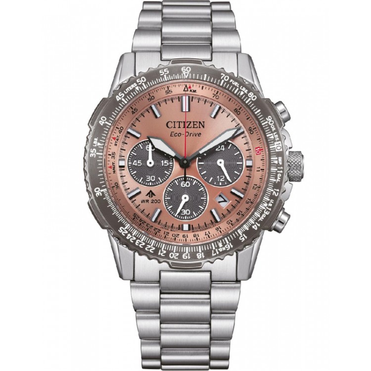 Ceas Barbati, Citizen, Promaster CA4664-60X