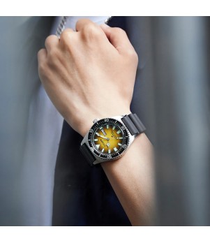 Ceas Barbati, Citizen, Promaster Dive NY0120-01X