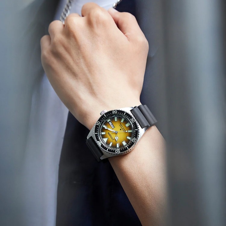 Ceas Barbati, Citizen, Promaster Dive NY0120-01X