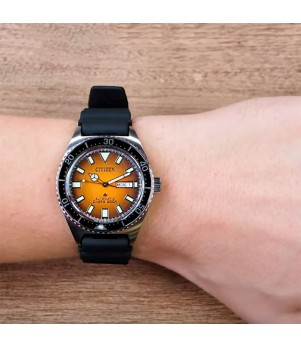 Ceas Barbati, Citizen, Promaster Dive NY0120-01Z