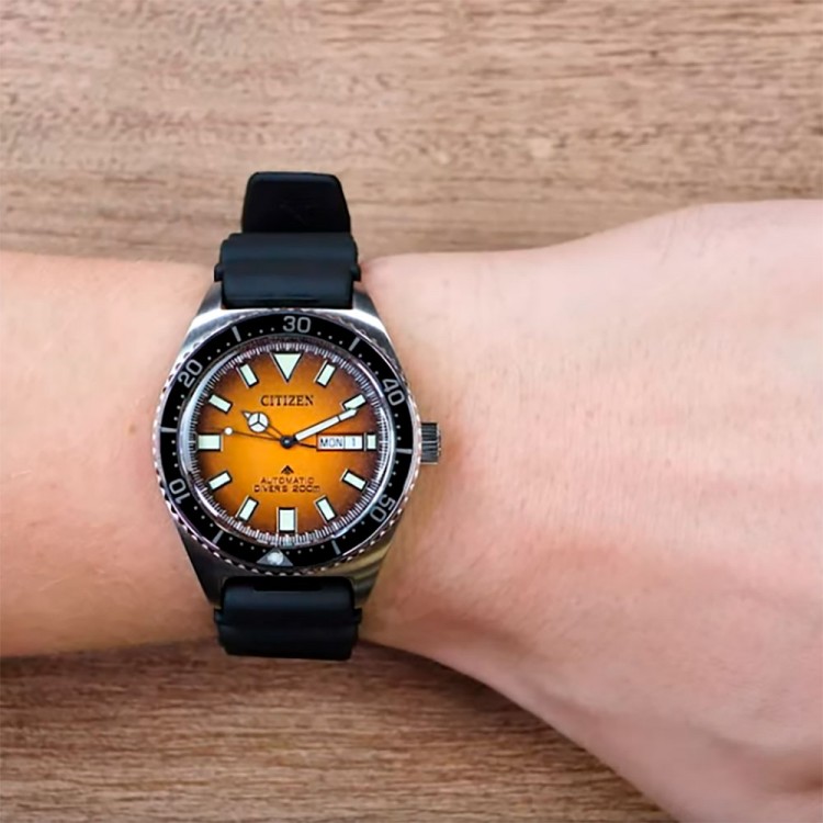 Ceas Barbati, Citizen, Promaster Dive NY0120-01Z