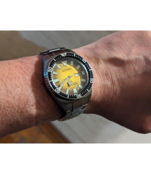 Ceas Barbati, Citizen, Promaster Dive NY0120-52X