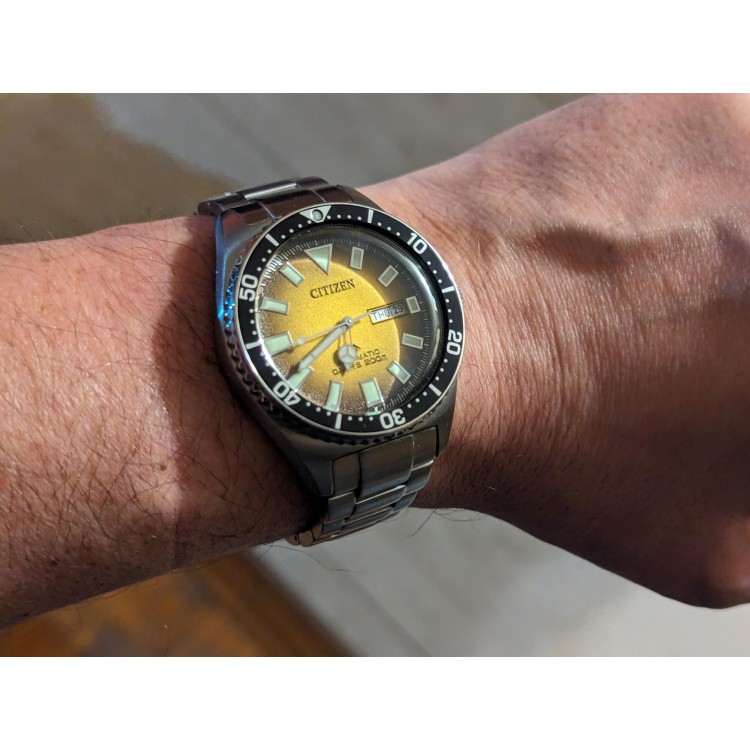 Ceas Barbati, Citizen, Promaster Dive NY0120-52X