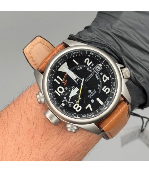 Ceas Barbati, Citizen, Promaster Land BN4061-08E