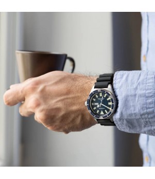 Ceas Barbati, Citizen, Promaster NY0129-07L