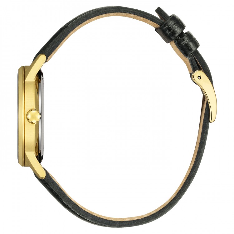 Ceas Dama, Citizen, Eco-Drive EW2722-01A