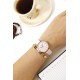 Ceas Dama, Daniel Wellington, Quadro DW00100514