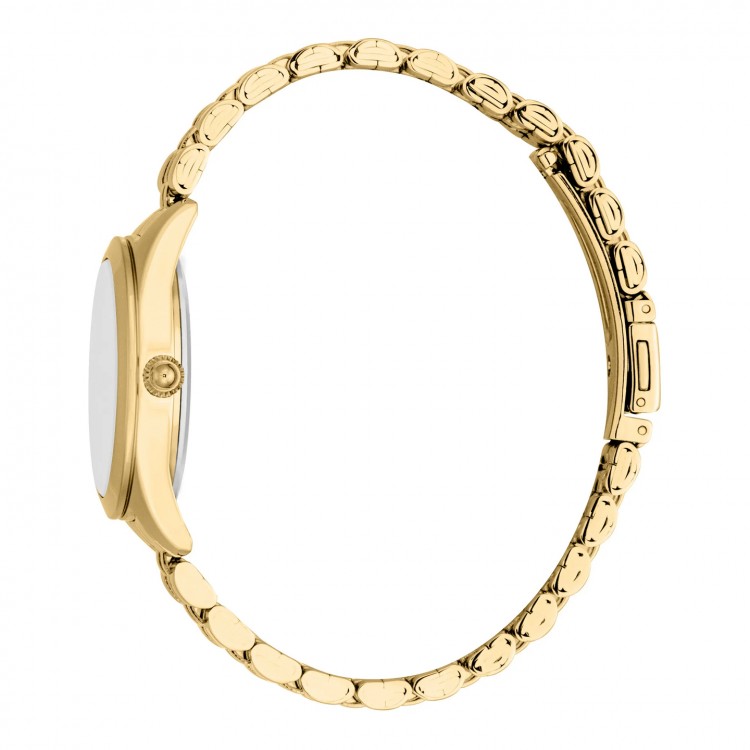 Ceas Dama, Just Cavalli, Florence JC1L309M0055