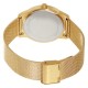 Ceas Dama, Michael Kors, Runway MK3282