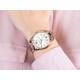 Ceas Dama, Michael Kors, Whitney MK6694 Ceas Dama, Michael Kors, Whitney MK6694