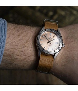 Ceas Orient, Mako 40 RA-AC0Q05P