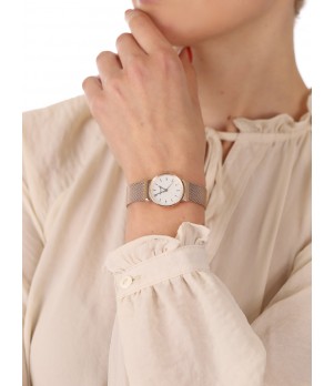 Ceas Dama, Skagen, Ancher SKW7201