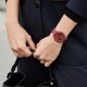 Ceas Dama, Swatch, Skin SVUR102