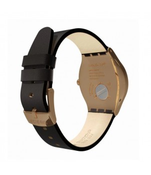 Ceas Swatch, Irony YWG405