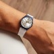 Ceas Barbati, Swatch, White Delight GN720