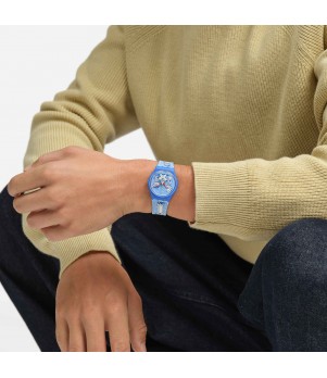 Ceas Swatch, Originals SO28Z126