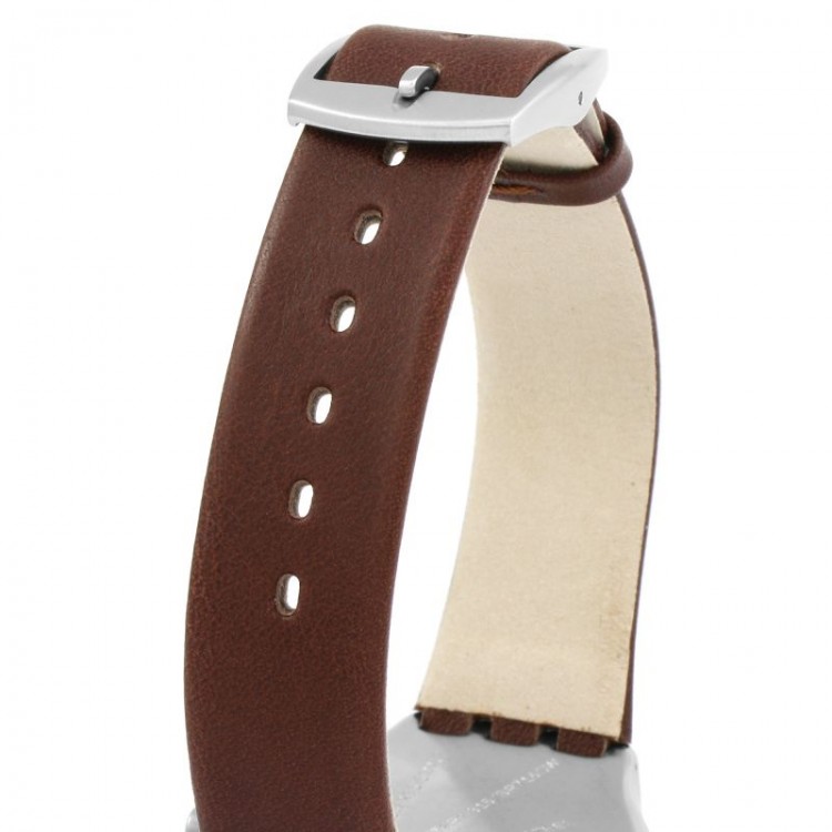 Ceas Swatch, Skinbrushed SYXS102