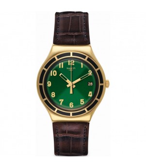 Ceas Barbati, Swatch, Dollarone YGG406