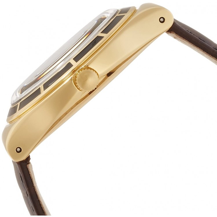 Ceas Barbati, Swatch, Dollarone YGG406