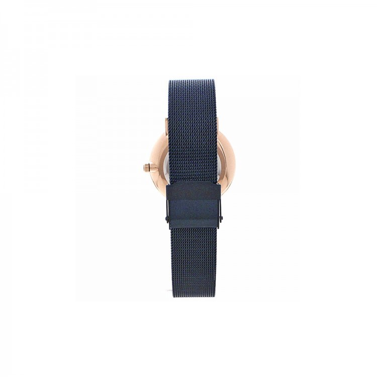 Ceas Dama, Bering, Classic 13436-367
