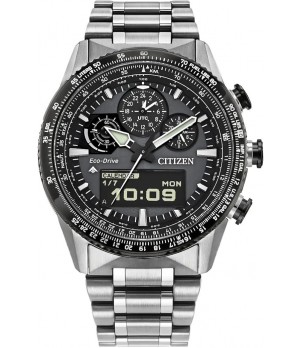 Ceas Barbati, Citizen, Promaster JV2006-55H