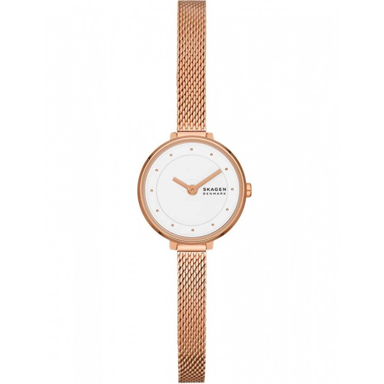 Ceas Dama, Skagen, Gitte Lille SKW3043 Ceas Dama, Skagen, Gitte Lille SKW3043