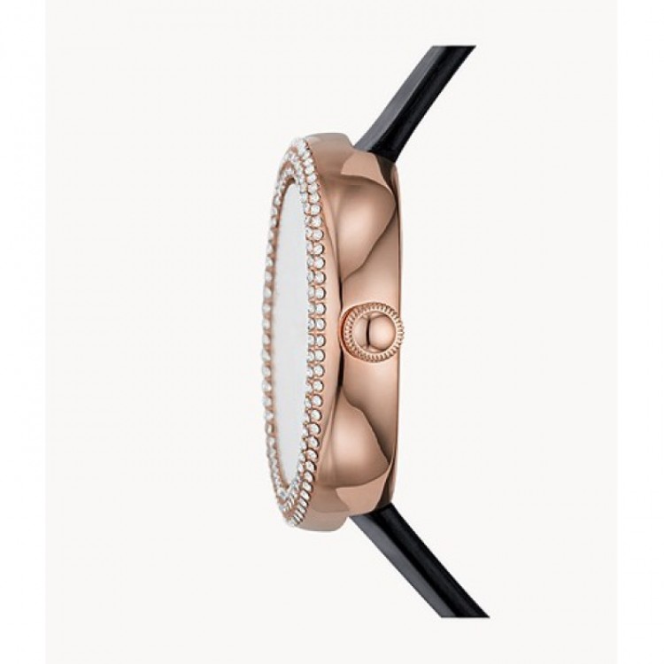 Ceas Dama, Emporio Armani, Mother of Pearl AR11356