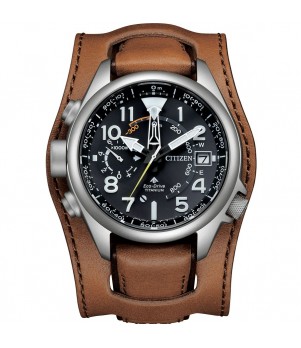 Ceas Barbati, Citizen, Promaster Land BN4061-08E