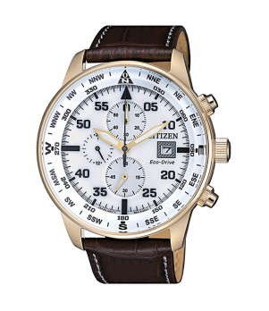 Ceas Barbati, Citizen, Aviator CA0693-12A