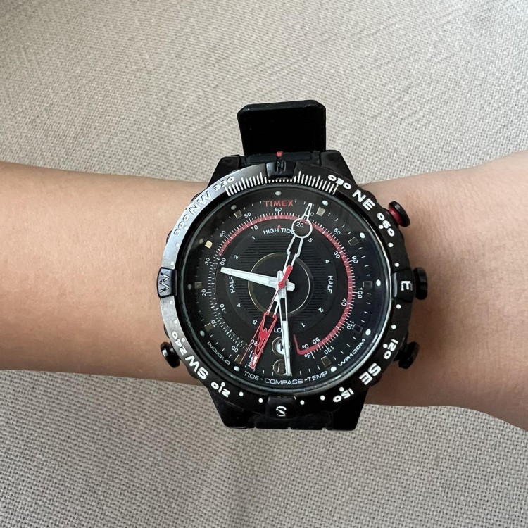 Ceas Barbati, TIMEX INTELLIGENT QUARTZ COMPASS T2N720