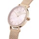 Ceas Dama, Daniel Wellington, Petite DW00100663