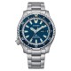 Ceas Barbati, Citizen, Promaster Dive NY0161-63L