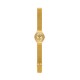 Ceas Dama, Swatch, Skin SYXG102M