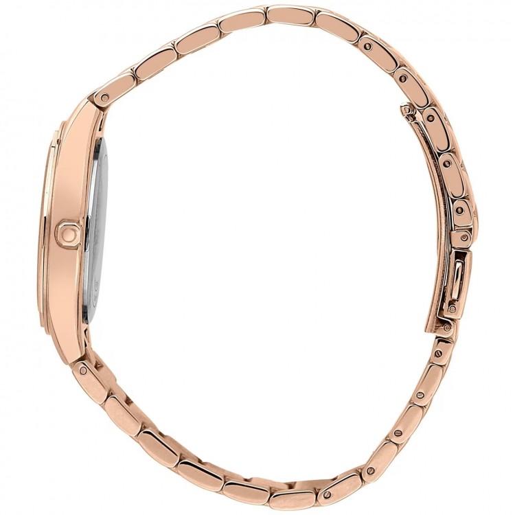 Ceas Dama, Trussardi, Brink R2453157503