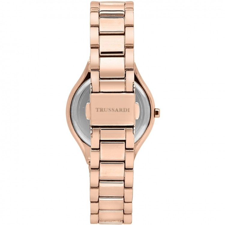 Ceas Dama, Trussardi, Brink R2453157503