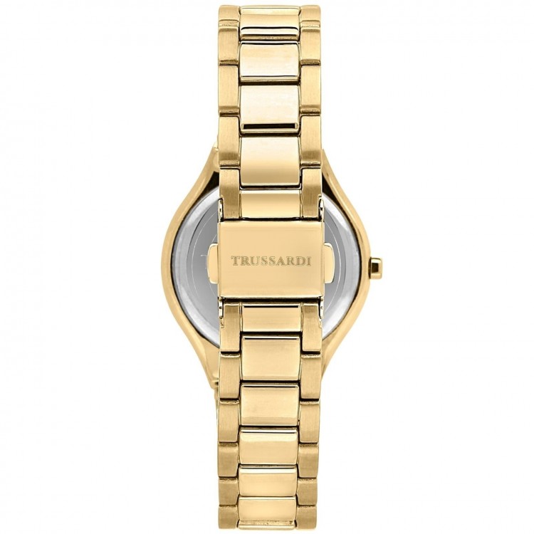 Ceas Dama, Trussardi, Brink R2453157505