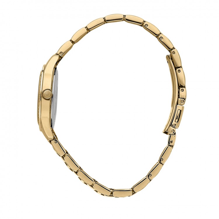 Ceas Dama, Trussardi, T-Sky R2453151504