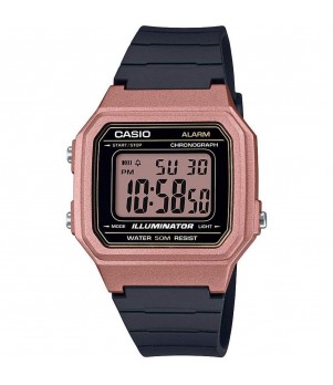 Ceas Casio, Collection W-21 W-217HM-5A