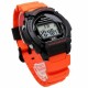 Ceas Barbati, Casio, Collection W-21 W-219H-4AVCF