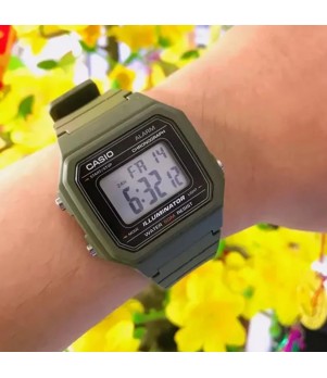 Ceas Casio, Collection W-21 W-217H-3AVDF