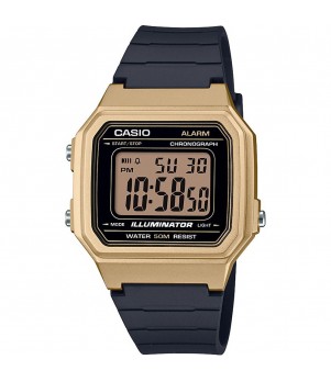 Ceas Casio, Collection W-21 W-217HM-9A