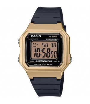 Ceas Casio, Collection W W-217HM-9A